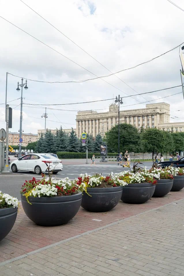 Благоустройство Санкт-Петербурга 2025 - проекты Berkano - фото 35